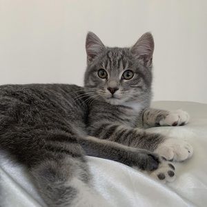 Meet your Posher, Alex